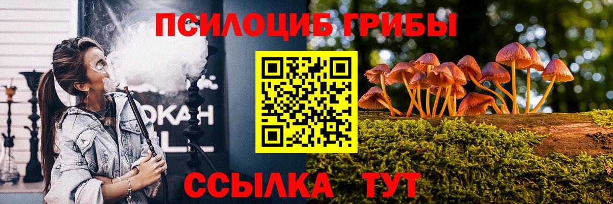 Псилоцибиновые грибы Psilocybine cubensis  Вход с VPN  Орск 